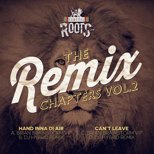 DR011 - Brian Brainstorm - Cant Leave (DJ Hybrid Remix)