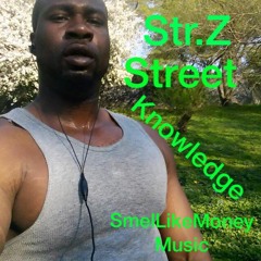 Street Knowledge Str.z