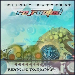 9-Flight Patterns (Re Routed)-  Focal Point (Luke Mandala Remix)