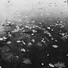 Deep / Minimal Techno / Alternative