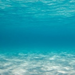 In Which This Belongs