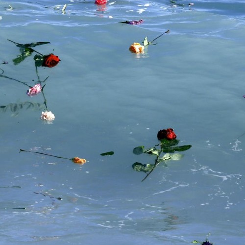 Amore Mio Dammi La Mano (Canzone dei Migranti Morti in Mare)