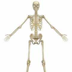 HALLOWEEN FUNK MIXXX