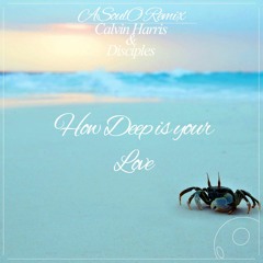Calvin Harris & Disciples - How Deep Is Your Love (Soul Remix)