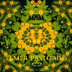 Elmer Pastorius - Gordo