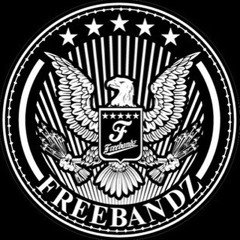 FREEBANDZ FREESTYLE