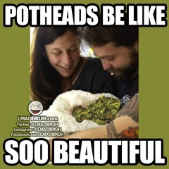 4 The PotHeadz - Xcite