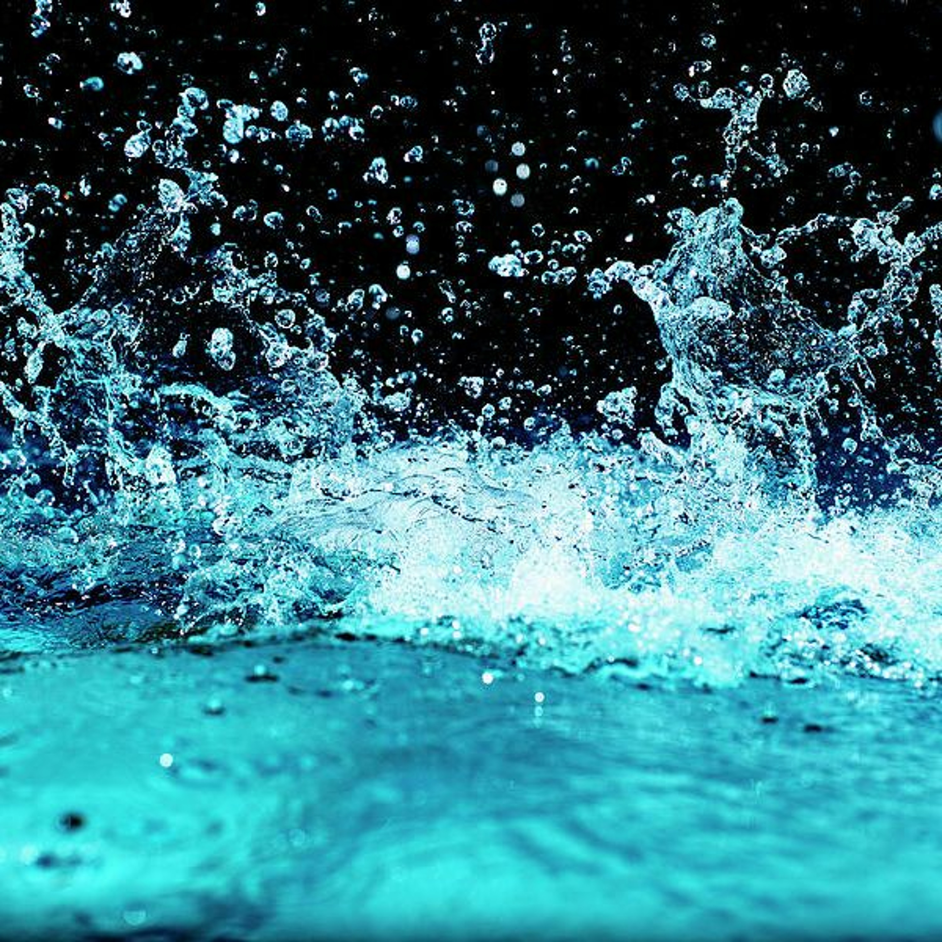 King Will -Water Wet episode artwork