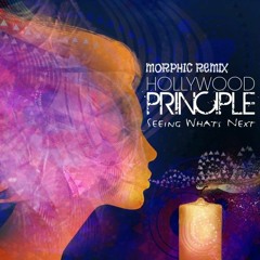 Hollywood Principle - Seeing Whats Next (Morphic Remix)