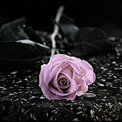 Mc Mane - Rakkaus ei riitä