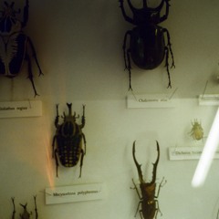 只想告訴你我的名字不叫立名