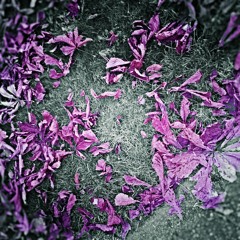 Silence Of Our Hearts - Royalty Free