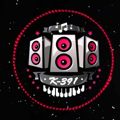 K - 391 - Electro House 2012