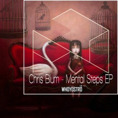 Chris Blum - Mental Steps (Julian Flores Remix)