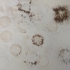 Kadrey Score 5 (halloween mix) (disquiet0200)