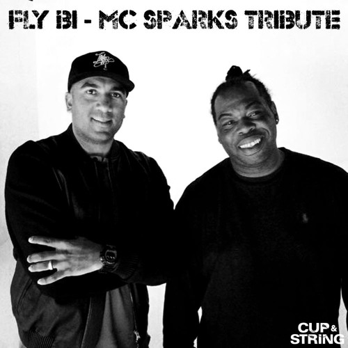 Fly Bi (Cup & String Bootleg - Mc Sparks Tribute)