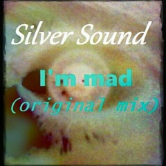 Silver sound ( old name )- I'm mad ( original mix)
