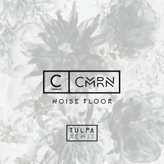 CMRN - Noise Floor (Tülpa Remix)