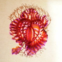 neo  paganos - secuencias (live - radio círculo dilecto)