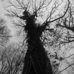 Toxic (Gnarly Crunch Version) - Made famous by Britney Spears