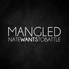 FNAF 3 Song - Salvaged (Acoustic) - NateWantsToBattle