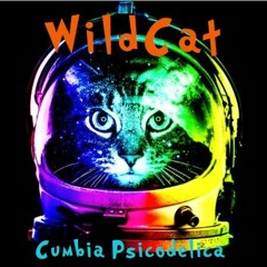 02 WildCat - Para Los Juergueros (original Mix)
