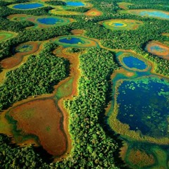 O PANTANAL
