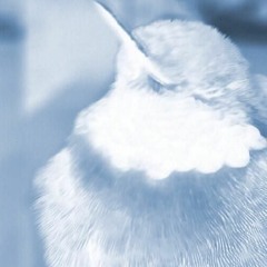 The Government Pisses Me Off