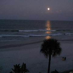 Jamming On The Beach At 1am