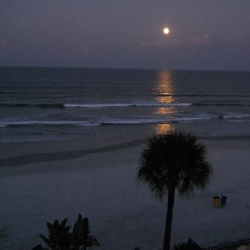 Jamming On The Beach At 1am