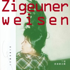 01 流浪者之歌 (Liu Lang Zhe Zhi Ge) - Zigeunerweisen