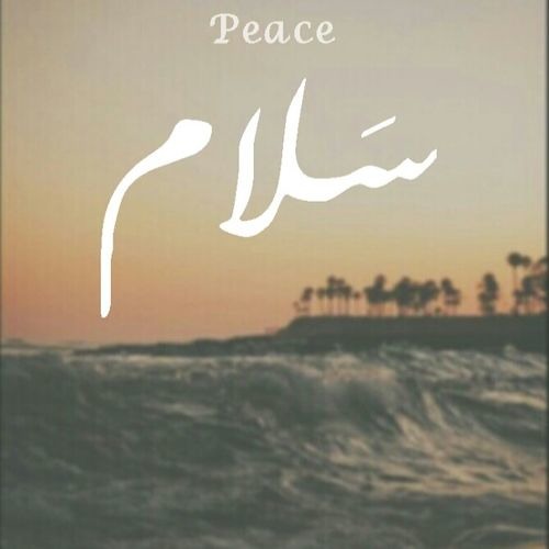 Abdulrahman Mohamed & Mohab Omar_Peace 2015_عبد الرحمن محمد و مهاب عمر2015 _سلام