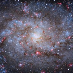 B L O O D  M O R L O C K