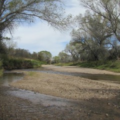 San Pedro River 130412