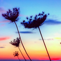 Mauricio Vargas - Live @ Club Attitude (2015/2016)