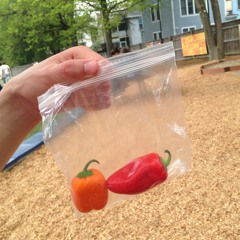 Revival (feat. 2 Peppers in a Bag)