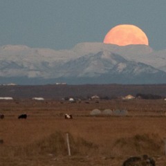 Moon Rising (video in link and description)