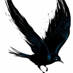 Blackbird (Demo)