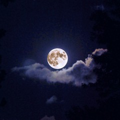 Snap & Crash - Tonight