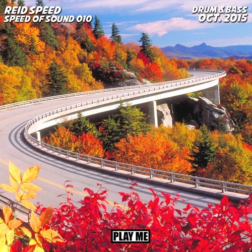 SPEED OF SOUND 010