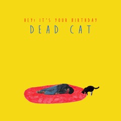 Hey! It's Your Birthday - Dead Cat