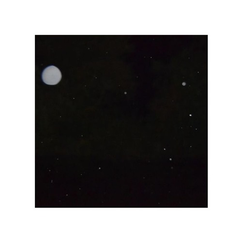 moon landing (x squid ethics)