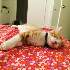 Anh Trang Le Loi - Guitar