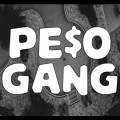 FerragamoP (prod. by Pe$o)