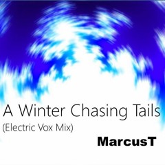 AWinterChasingTails (Electric Vox Mix)