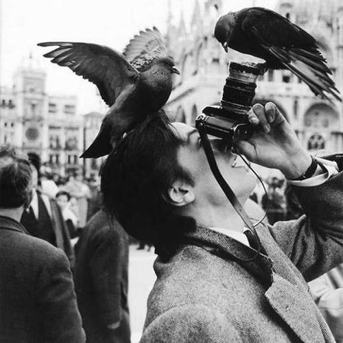 Vegas - Ft - Freedom - Thai - Hoang - Fulllll