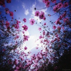 السلام عليك يا رسول الله - فتيات تركيات