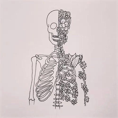 Fog Lake - Holy Cross