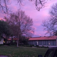 Fog Lake - Rainy Days