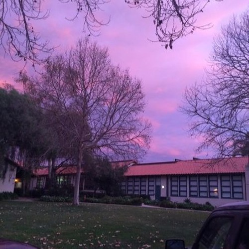 Fog Lake - Rainy Days